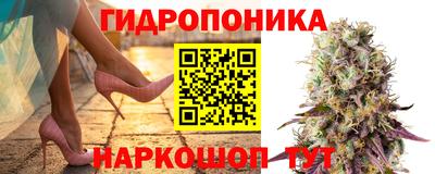 ГАЛЛЮЦИНОГЕННЫЕ ГРИБЫ Ирбит